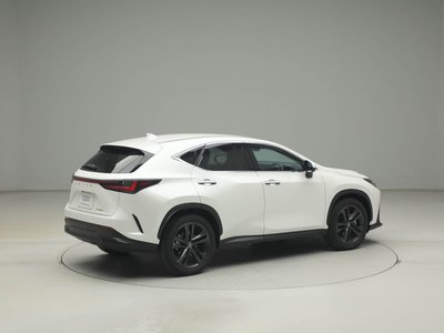 LEXUS NX - 10