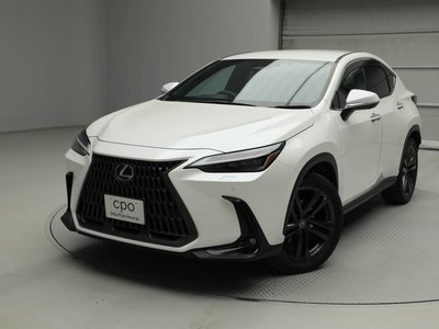 LEXUS NX - 1
