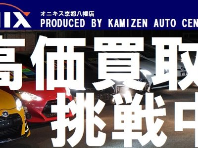 2024 Toyota ALPHARD thumbnail 42
