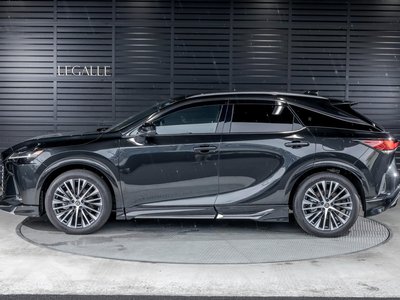 صورة 10 لـ 2025 Lexus RX