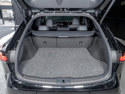 2025 Lexus RX — миниатюра 61