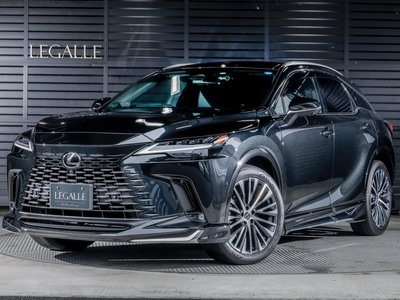2025 Lexus RX — миниатюра 27