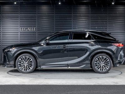 2025 Lexus RX — миниатюра 34