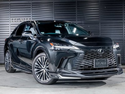 2025 Lexus RX — миниатюра 29
