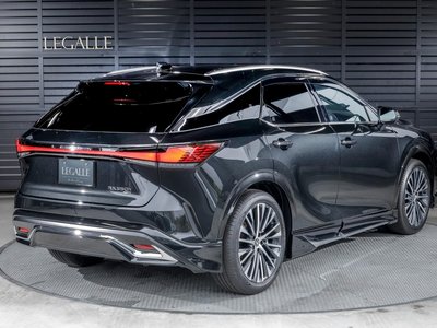 2025 Lexus RX — миниатюра 31