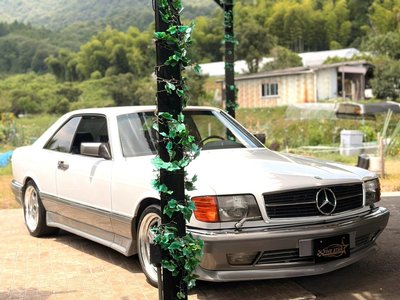 1986 Mercedes-BENZ S-CLASS 照片 6