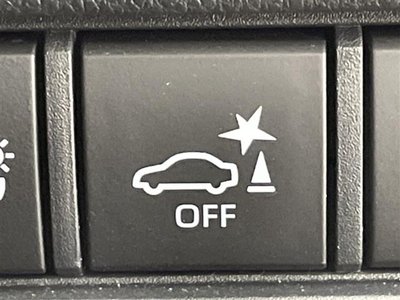 TOYOTA LAND CRUISER 250 - 10