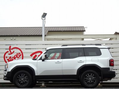 TOYOTA LAND CRUISER 250 - 6