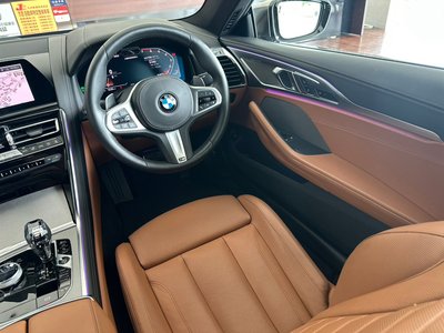 2019 BMW 8 SERIES 缩略图 33