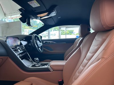 2019 BMW 8 SERIES 缩略图 27
