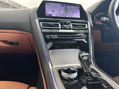 2019 BMW 8 SERIES 缩略图 18
