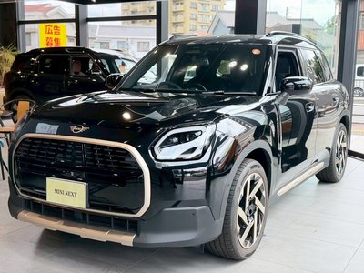 MINI MINI COUNTRYMAN - 1