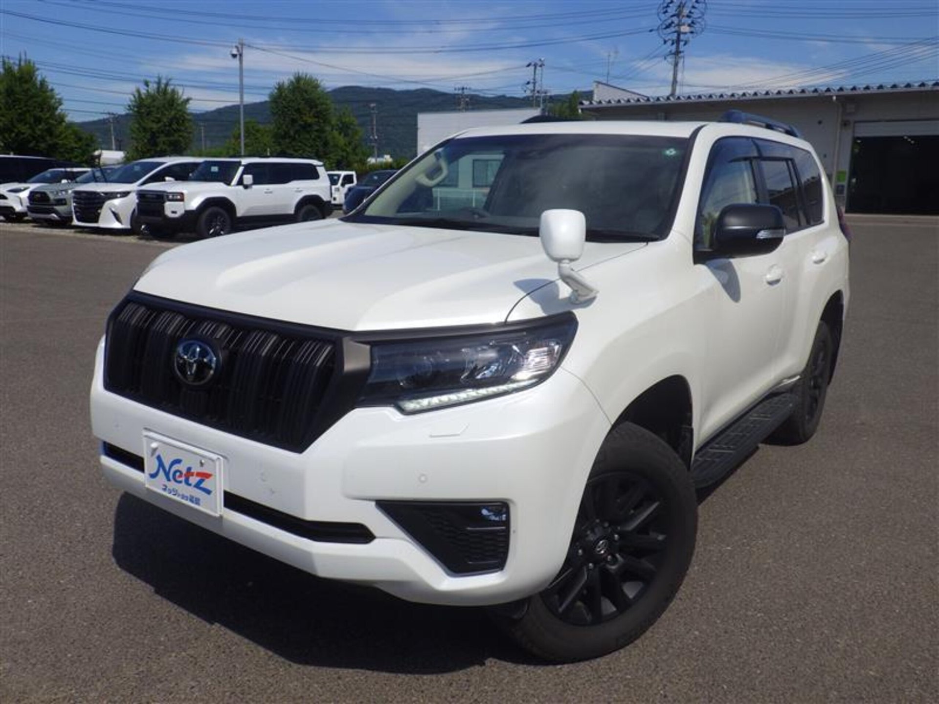 TOYOTA LAND CRUISER PRADO - View 1