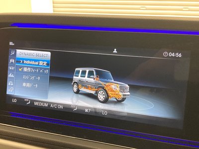 2019 Mercedes-BENZ G-CLASS thumbnail 13