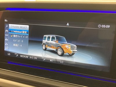 2019 Mercedes-BENZ G-CLASS thumbnail 19
