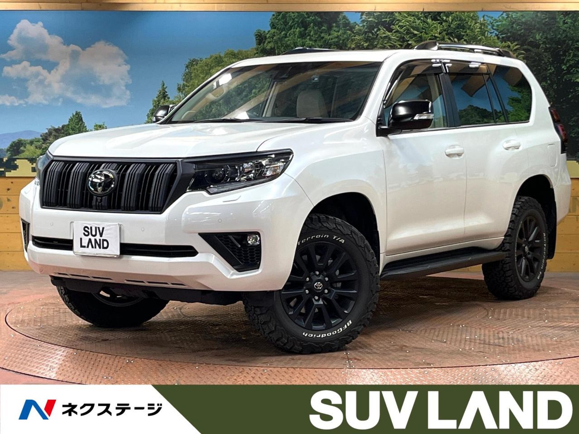 TOYOTA LAND CRUISER PRADO - View 1