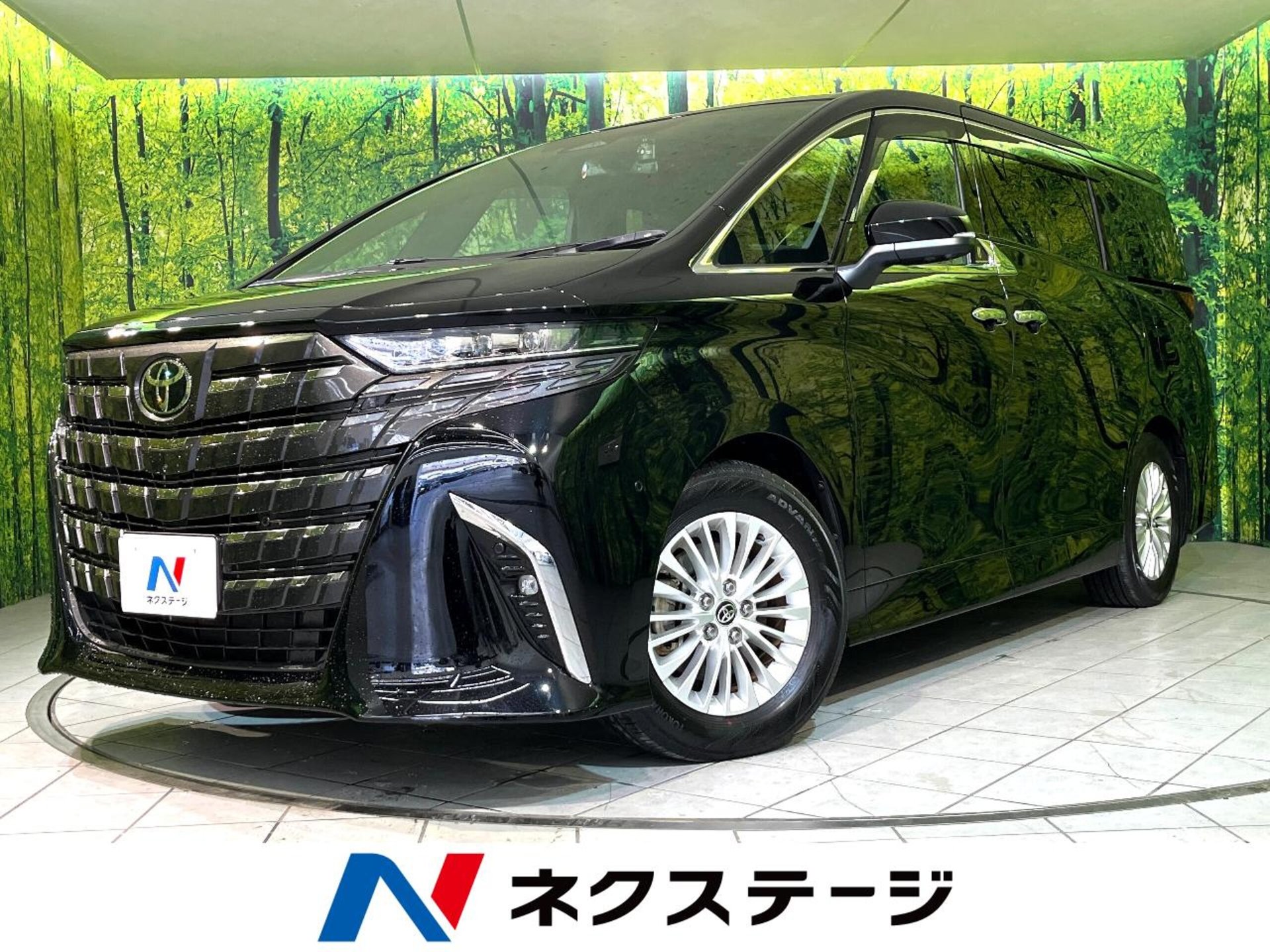 TOYOTA ALPHARD - View 1