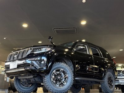 TOYOTA LAND CRUISER PRADO - 2