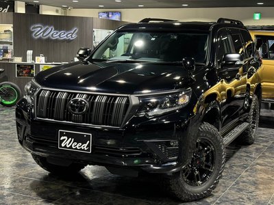TOYOTA LAND CRUISER PRADO - 6