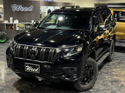 TOYOTA LAND CRUISER PRADO - 5