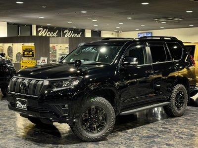 TOYOTA LAND CRUISER PRADO - 10