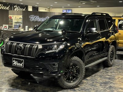 TOYOTA LAND CRUISER PRADO - 8