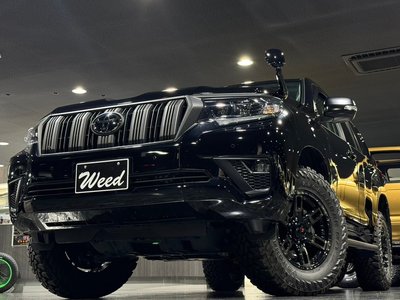 TOYOTA LAND CRUISER PRADO - 7