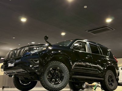 TOYOTA LAND CRUISER PRADO - 1