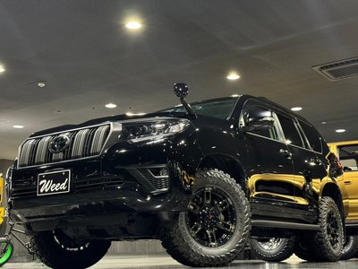 TOYOTA LAND CRUISER PRADO - 9