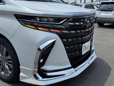 2026 Toyota ALPHARD thumbnail 18