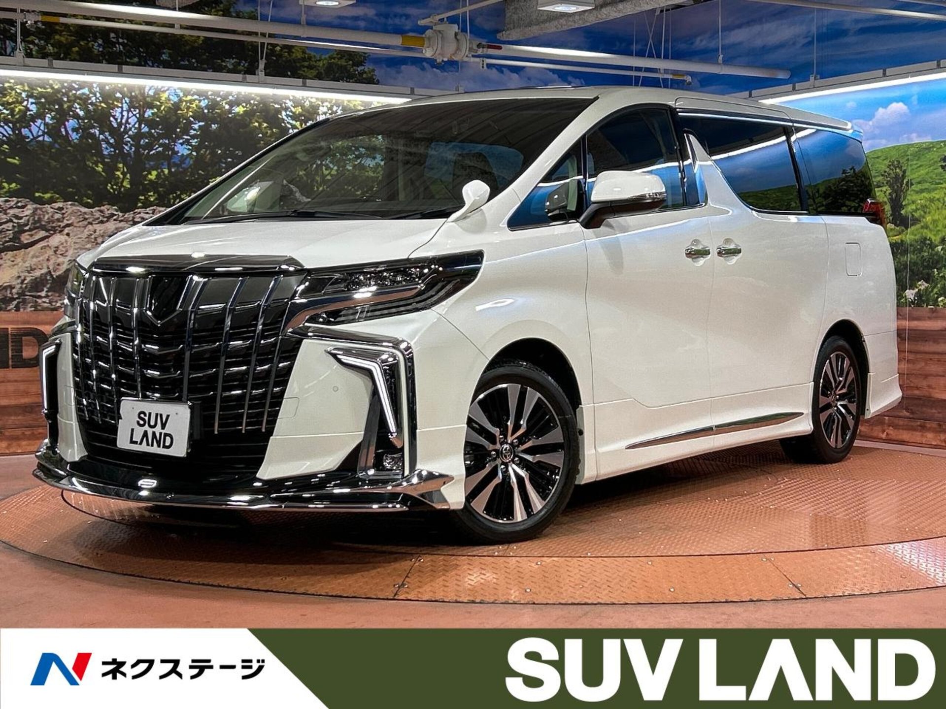 TOYOTA ALPHARD - View 1