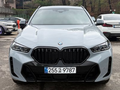 BMW X6 - 1