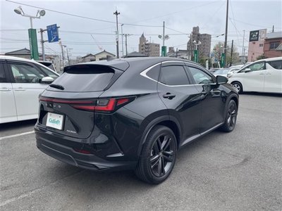 LEXUS NX - 10