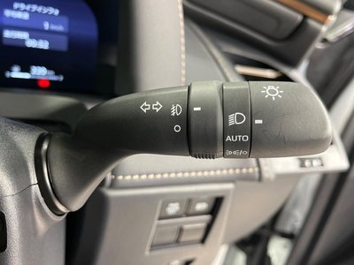 2024 TOYOTA ALPHARD 缩略图 41