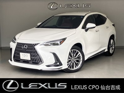 LEXUS NX - 1