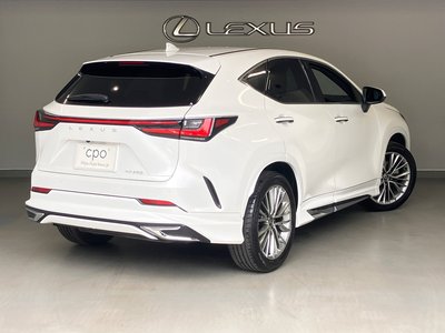LEXUS NX - 8
