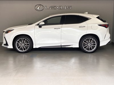 LEXUS NX - 10