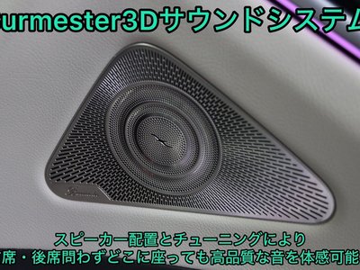 MERCEDES-BENZ S-CLASS - 6