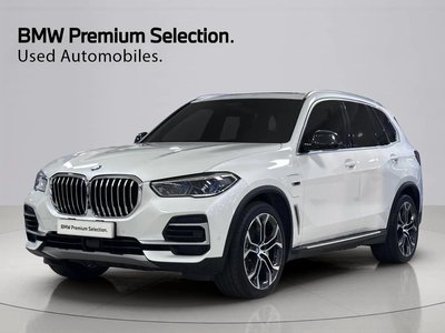 2021 BMW X5 照片 1