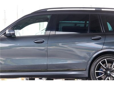 2019 BMW X7 — миниатюра 15