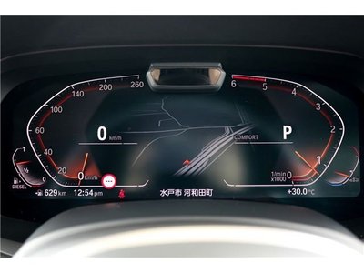 2019 BMW X7 — миниатюра 31