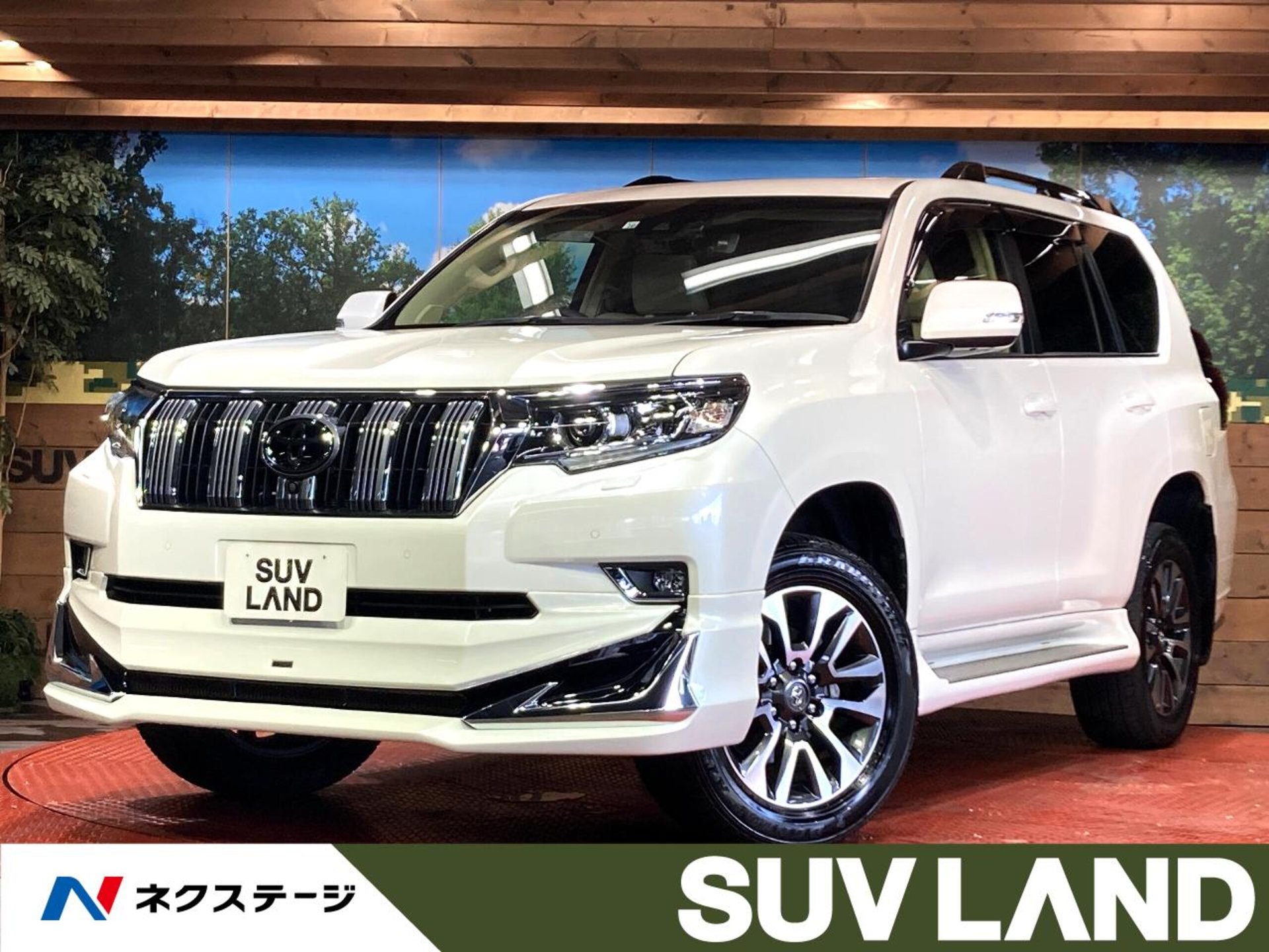 TOYOTA LAND CRUISER PRADO - View 1