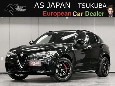 صورة 3 لـ 2020 ALFA Romeo STELVIO