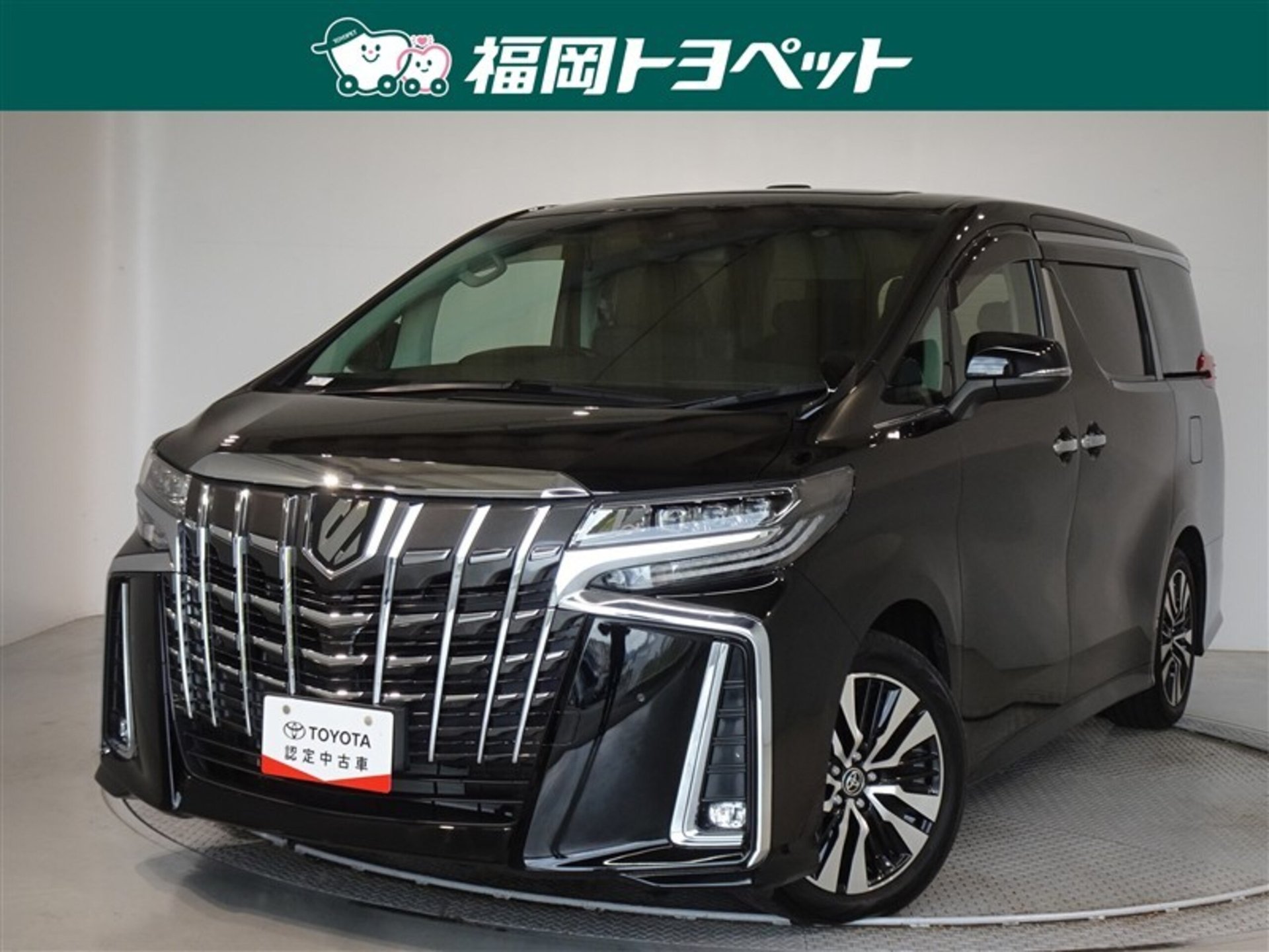 TOYOTA ALPHARD - View 1