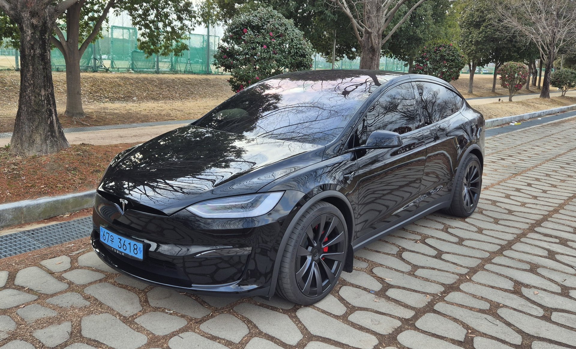 TESLA MODEL X - View 1