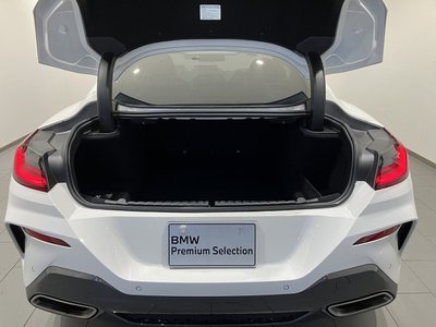 2019 BMW 8 SERIES 缩略图 52