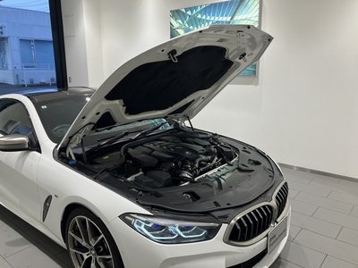 2019 BMW 8 SERIES 缩略图 54