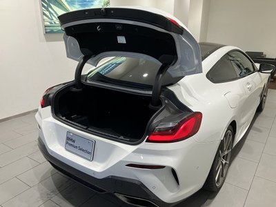 2019 BMW 8 SERIES 缩略图 51