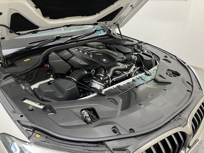 2019 BMW 8 SERIES 缩略图 55