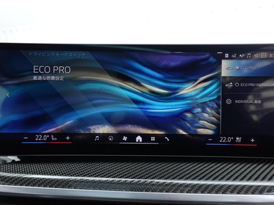 2024 BMW X7 缩略图 67